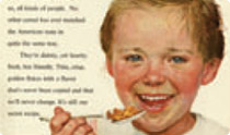 Kellogs Bran