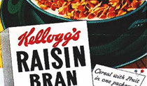 Kellogs Raisin
